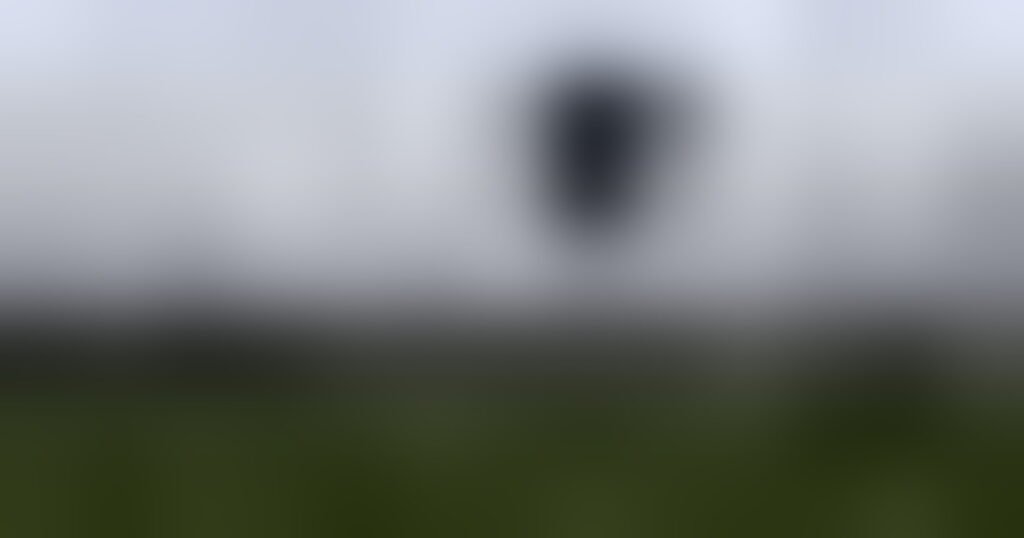 100952101-9d23b296-82b5-4c3f-9c31-a242ae983778.jpg