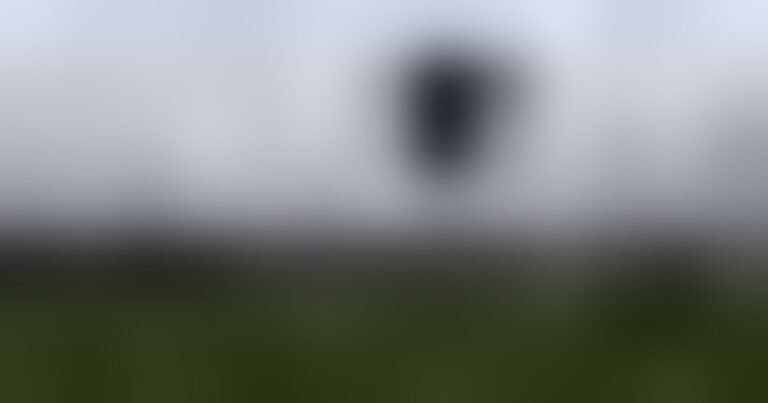100952101-9d23b296-82b5-4c3f-9c31-a242ae983778.jpg