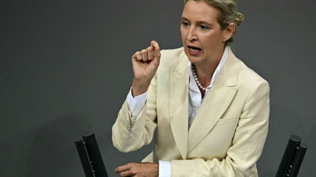 11-alice-weidel-92845dba4c60215f.jpg