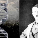 1763223065_hitler-dna-png.webp
