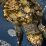 1763351345_wide__1300x731.webp