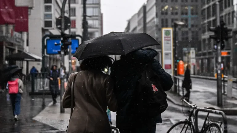 1763357467_wide__1300x731.webp