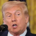 2025-11-14t164822z-1376808124-rc2uvha63kly-rtrmadp-3-usa-trump-epstein-jpg.webp
