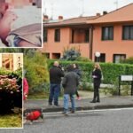 9186783_13150807_bortolotti.jpg