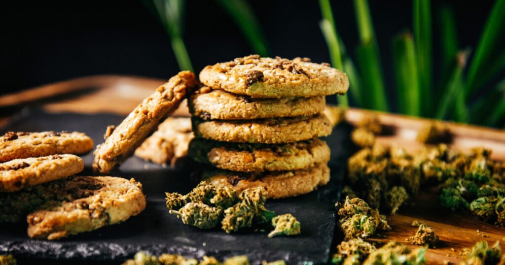 AdobeStock_548357044-1200x630.jpeg
