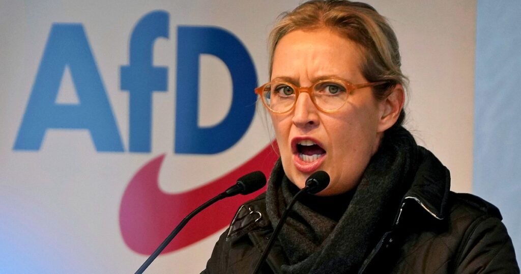AfD-germania-alice-weidel.jpg