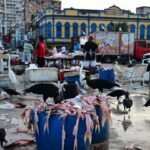 belem-markt-100.jpg