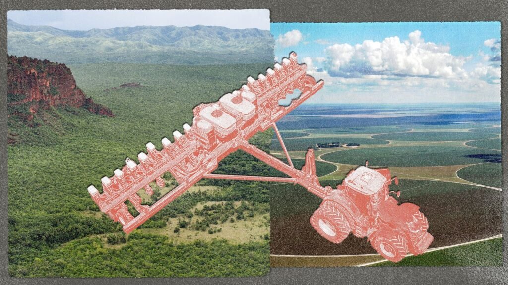 deforestation-cerrado-04-6918c1d56db66905888365.jpg