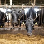 eu-kommission-landwirte-1001280x720.jpeg