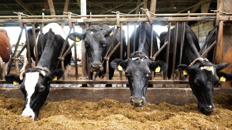 eu-kommission-landwirte-1001280x720.jpeg