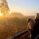 frau-sonnenuntergang-100.jpg