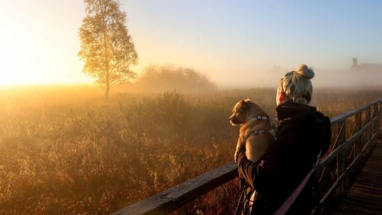 frau-sonnenuntergang-100.jpg