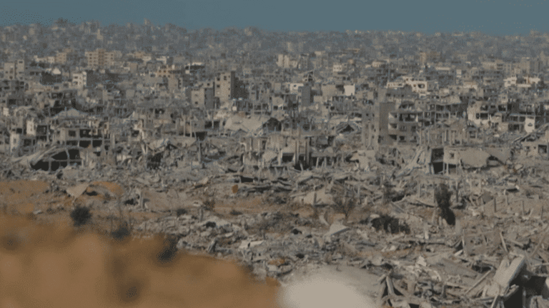 gaza-69163e8504ee0222004695.png