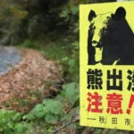 japan-ruft-angesichts-einer.jpg.webp.webp