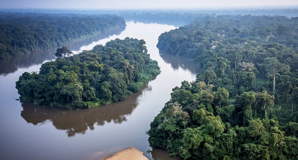 la-riviere-sangha-un-affluent-du-fleuve-congo-1763242808_e54fed08d81966a4fed08d8190f4fev_.jpg