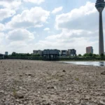 mitte-mai-2025-herrscht-am-rhein-in-oberkassel-trockenheit-auf-deutschland-kommt-wohl-ein-sommer-der.webp