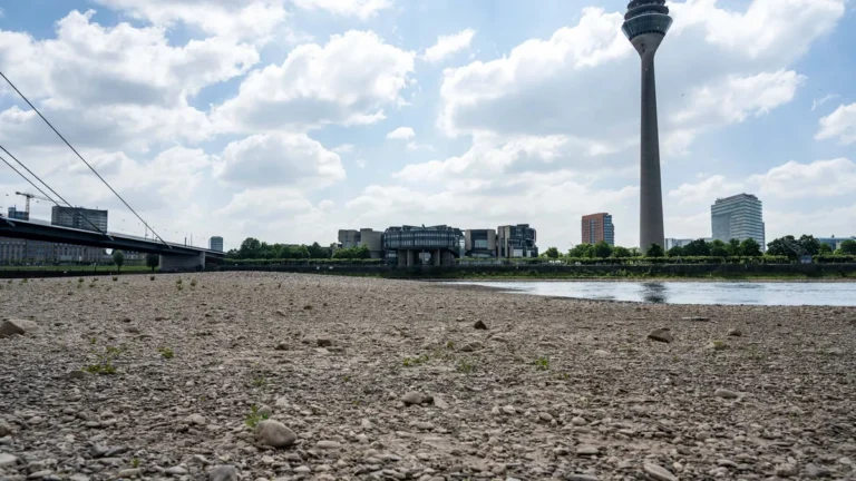 mitte-mai-2025-herrscht-am-rhein-in-oberkassel-trockenheit-auf-deutschland-kommt-wohl-ein-sommer-der.webp