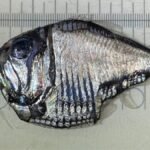 original_271607.jpg