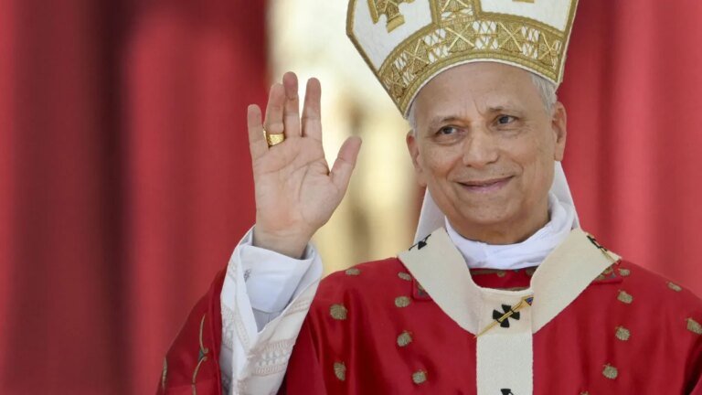 papst-leo-xiv-er-hat-in-diesem-jahr-die-nachfolge-von-franziskus-angetreten.jpg