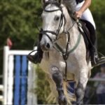 pferd-parcours-100.jpg