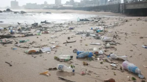 plastic-and-garbage-on-the-beach-sand-salvador-bahia-brazil-november-30-2021-plastic-bottle-and-heap.webp