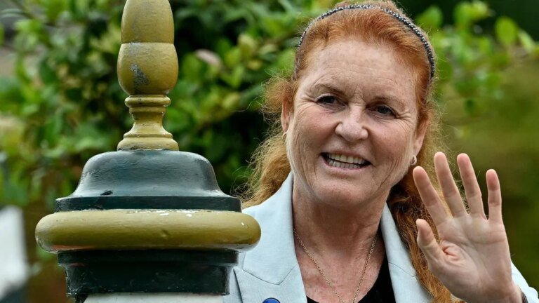 sarah-ferguson-ihr-neues-kinderbuch-wird-nicht-in-den-handel-kommen.jpg