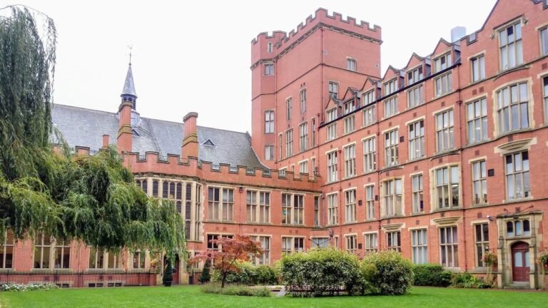 university-of-sheffield-1001280x720.jpeg