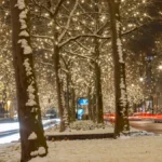 weihnachtsbeleuchtung-rund-um-den-kurfuerstendamm-die-weihnachtsbeleuchtung-rund-um-den-kurfuerstend.webp