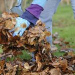 wo-im-garten-das-laub-liegen-bleiben-darf.jpg