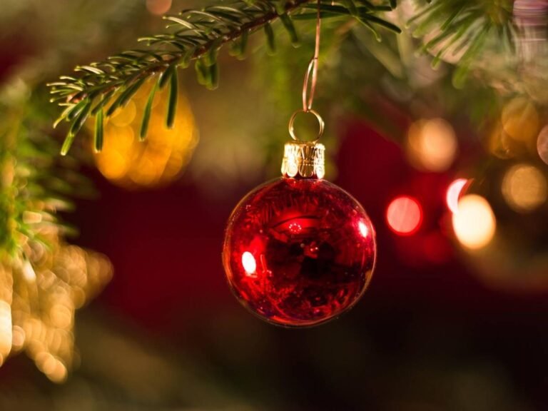 1765469901-christmas-3809544-1280.jpg