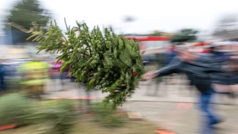 25-4qmgk5neufv7axs2048jpeg-0ada5fb0f9b53880.jpg