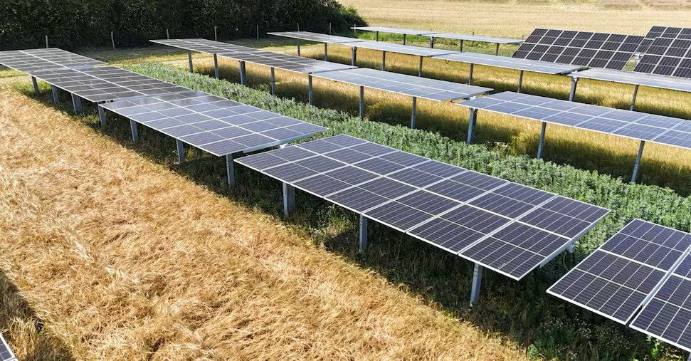 Agrivoltaico20European20energy20IMG-20250527-WA0004-U15330734662znz-1440x752@IlSole24Ore-Web.jpg