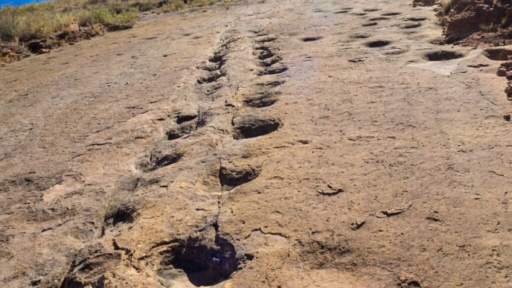 Dinosaur-footprint-in-Toro-Toro-Bolivia-Dinosaur-footprint-in-Toro-Toro-Bolivia.jpg