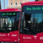 bus_atac_roma_ipa_fg.jpeg