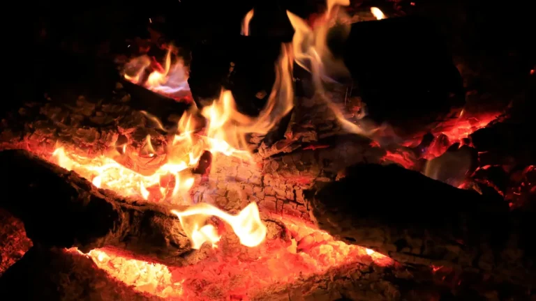 eine-feuerstelle-vor-400000-jahren-sassen-neandertaler-im-osten-englands-um-ein-feuer-das-sie-selbst.webp