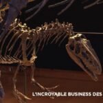 envoye-special-l-incroyable-busines-des-dinosaures-1-693b3e47d0ca8914482204.jpg