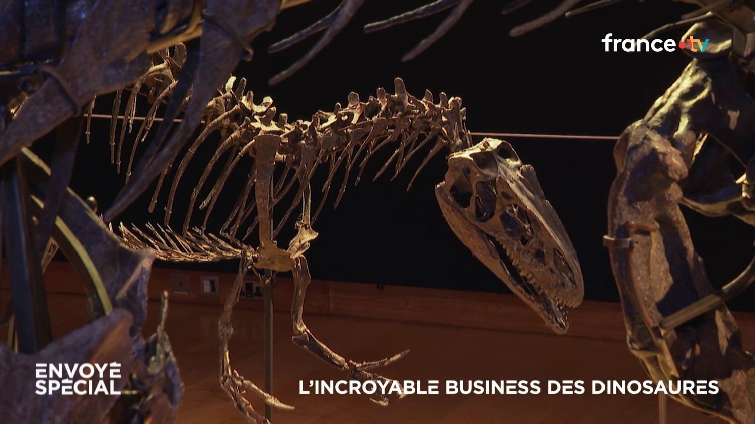 envoye-special-l-incroyable-busines-des-dinosaures-1-693b3e47d0ca8914482204.jpg