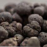 trueffel-edelpilz-delikatesse-essen-1001280x720.jpeg