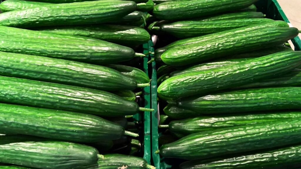 Frische-Gurke-Salatgurke-Schlangengurke-beim-Discounter-Fresh-cucumber-salad-cucumber-snake-cucumber.jpeg