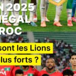 Vignette-meilleurs-Lions.jpg