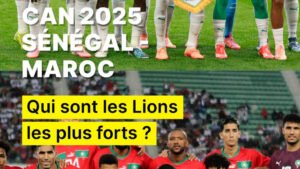 Vignette-meilleurs-Lions.jpg
