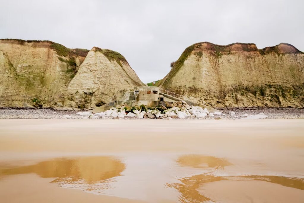 cd00308_upload-1-eixv0nndnhft-cran-escalles-eric-flogny-3733-modifier.jpg