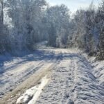 chutes-de-neige-en-vendee-yves-rene-tapon-695e11b7849d0453948815.jpg