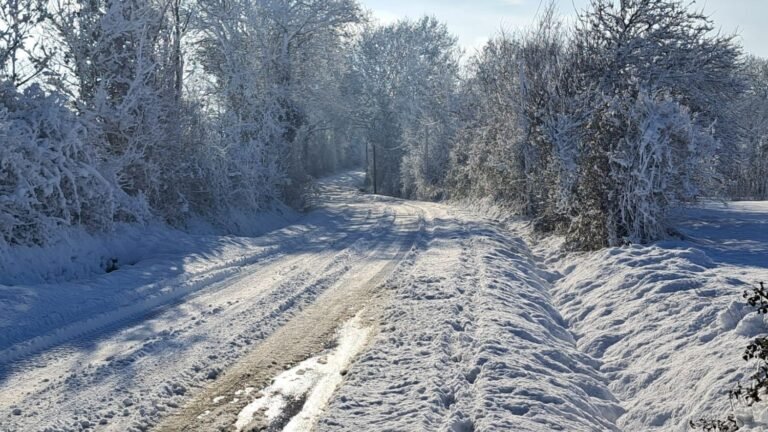 chutes-de-neige-en-vendee-yves-rene-tapon-695e11b7849d0453948815.jpg