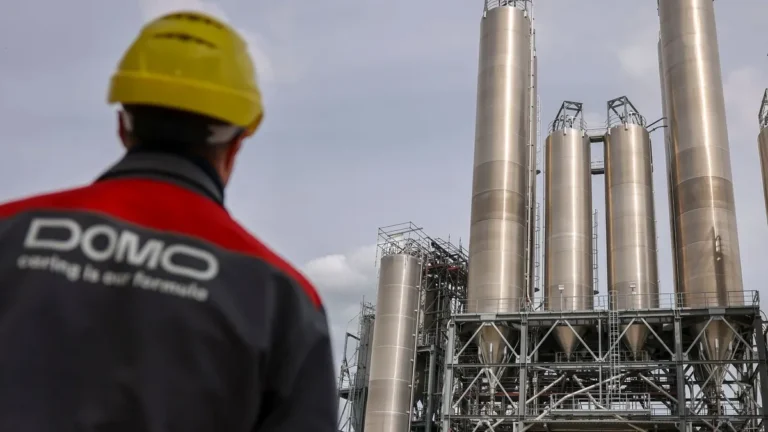 ein-mitarbeiter-von-domo-chemicals-vor-dem-werk-in-leuna-symbolbild-laut-dem-wirtschaftsminister-gib.webp