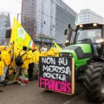 landwirte-protestieren-in.webp.webp