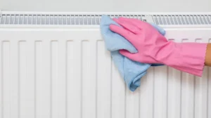 staub-im-heizkoerper-entfernen-nutzen-sie-die-richtigen-hilfsmittel-um-sich-die-arbeit-zu-erleichter.webp