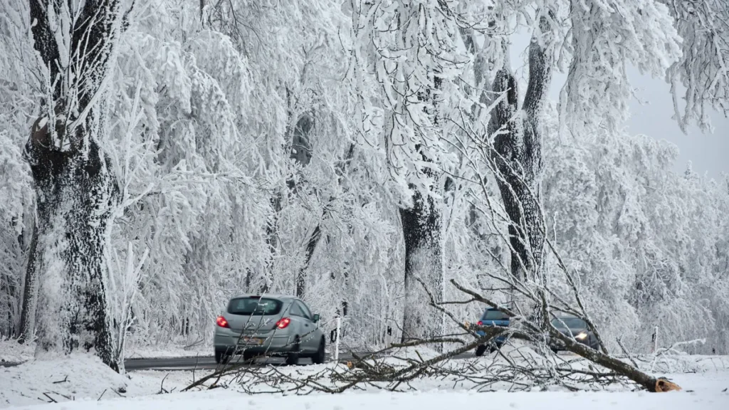 02-022026-blick-auf-vereiste-und-an-der-zentnerschweren-eislast-schwer-tragenden-baeume-entlang-der.webp