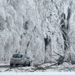 02-022026-blick-auf-vereiste-und-an-der-zentnerschweren-eislast-schwer-tragenden-baeume-entlang-der.webp