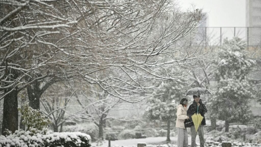 10-starker-schneefall-in-tokio-56b44df4c5717aea.jpg
